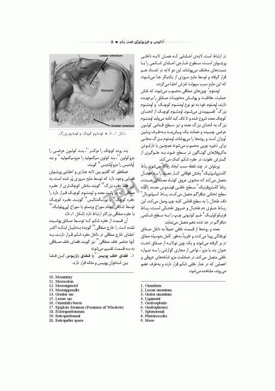 تکنولوژی جراحی گوارش و غدد ساداتی و گلچینی