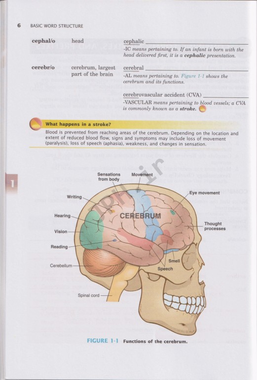 اصطلاحات پزشکی در یک دوره کوتاه دوی الن 2015 | Medical Terminology A Short Course