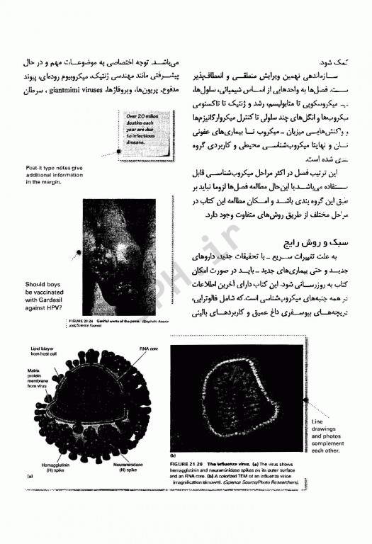 میکروبیولوژی بلک جلد 2