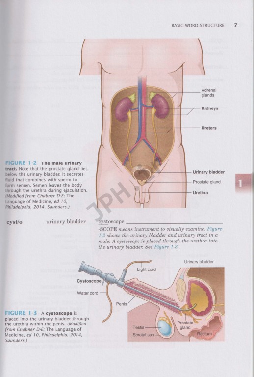 اصطلاحات پزشکی در یک دوره کوتاه دوی الن 2015 | Medical Terminology A Short Course