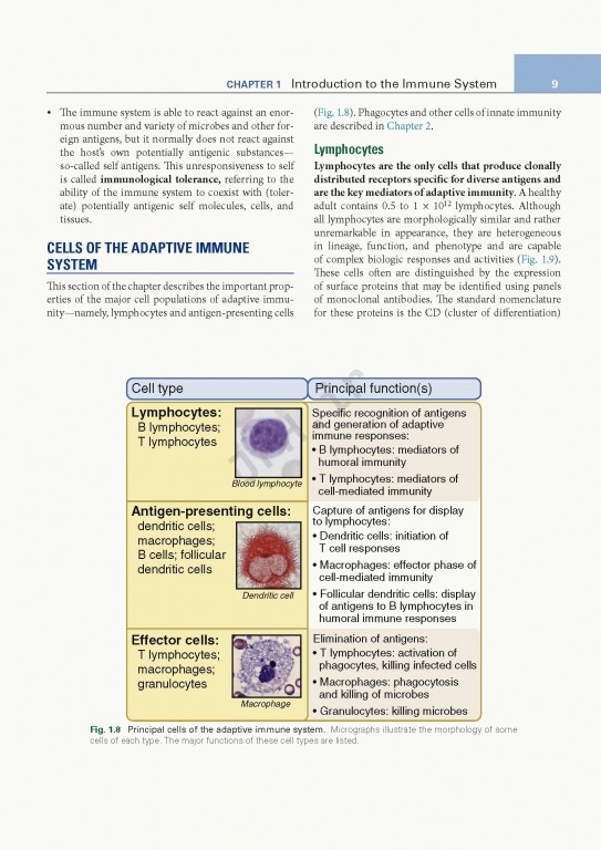 ایمونولوژی پایه ابوالعباس ویرایش ششم | 2020 Basic Immunology Functions and Disorders of the Immune System
