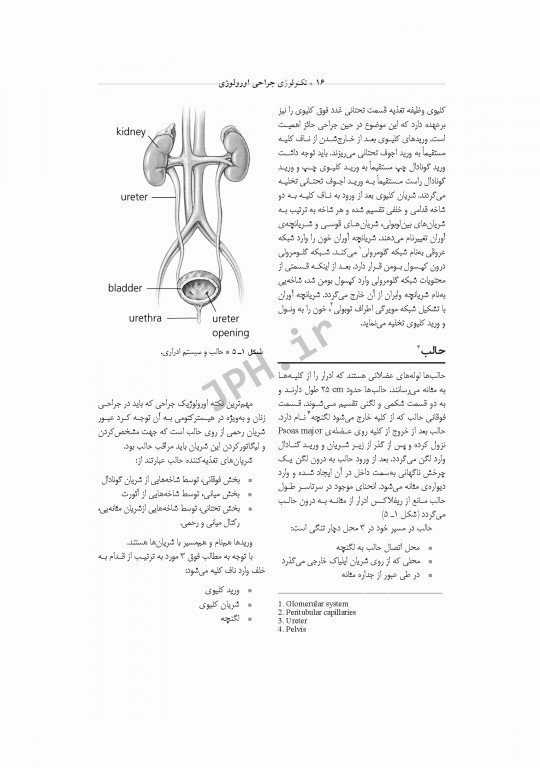 تکنولوژی جراحی اورولوژی ساداتی و گلچینی