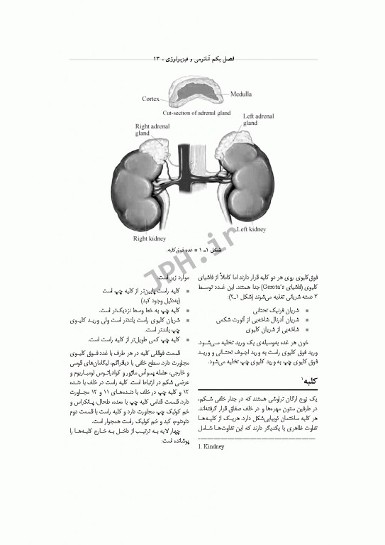 تکنولوژی جراحی اورولوژی ساداتی و گلچینی
