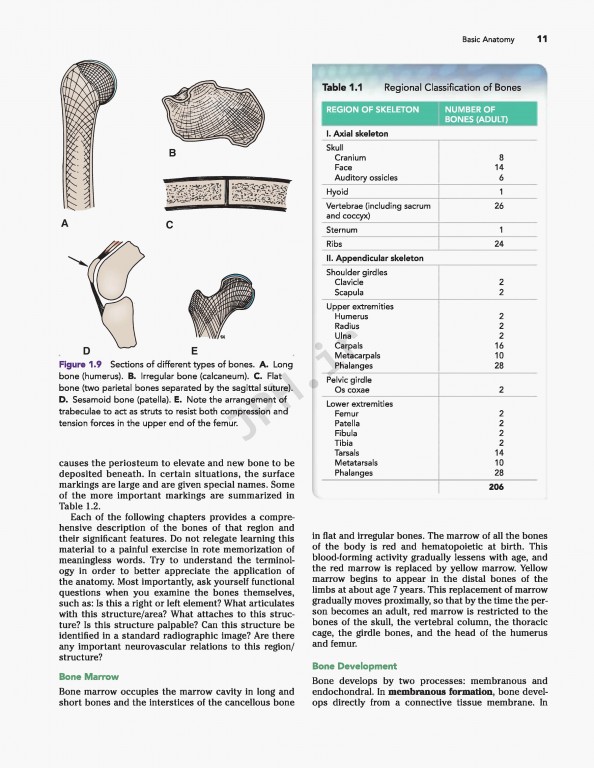 آناتومی بالینی اسنل ویراست دهم | 2019 Snell's Clinical Anatomy by Regions