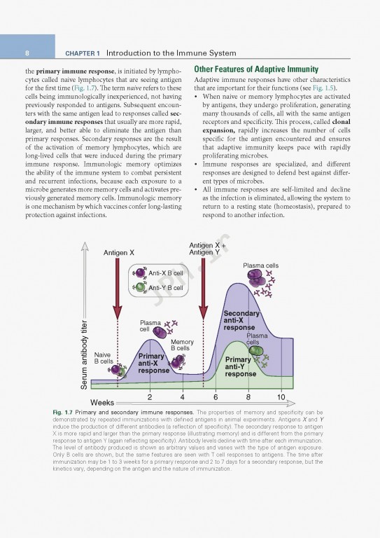 ایمونولوژی پایه ابوالعباس ویرایش ششم | 2020 Basic Immunology Functions and Disorders of the Immune System