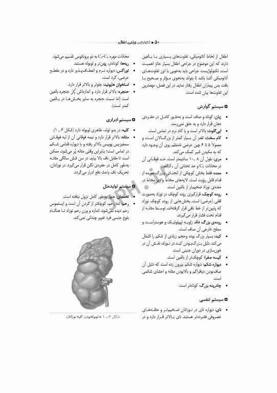 تکنولوژی جراحی اطفال ساداتی گلچینی