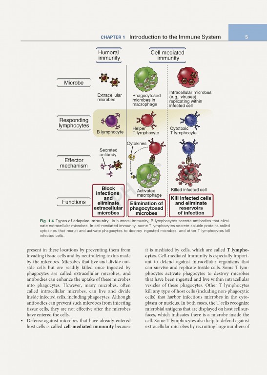 ایمونولوژی پایه ابوالعباس ویرایش ششم | 2020 Basic Immunology Functions and Disorders of the Immune System