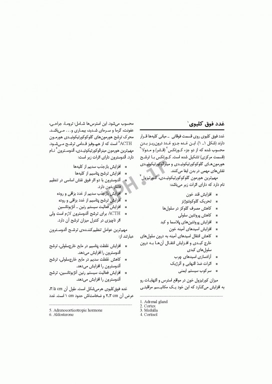 تکنولوژی جراحی اورولوژی ساداتی و گلچینی