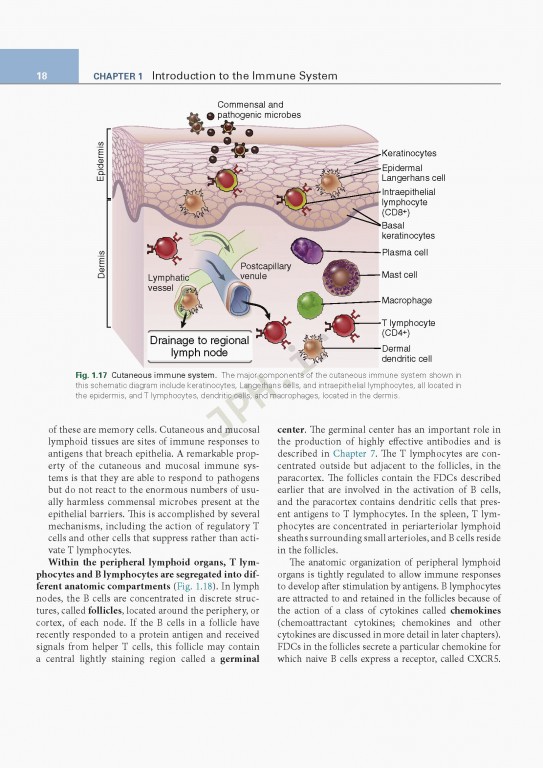 ایمونولوژی پایه ابوالعباس ویرایش ششم | 2020 Basic Immunology Functions and Disorders of the Immune System