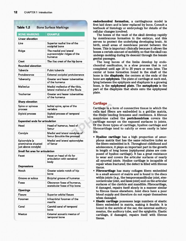 آناتومی بالینی اسنل ویراست دهم | 2019 Snell's Clinical Anatomy by Regions