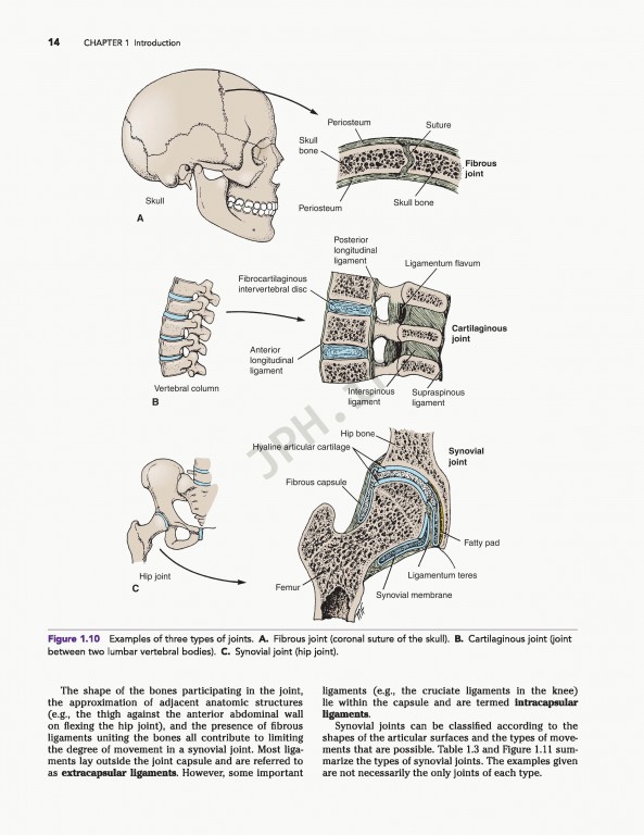 آناتومی بالینی اسنل ویراست دهم | 2019 Snell's Clinical Anatomy by Regions