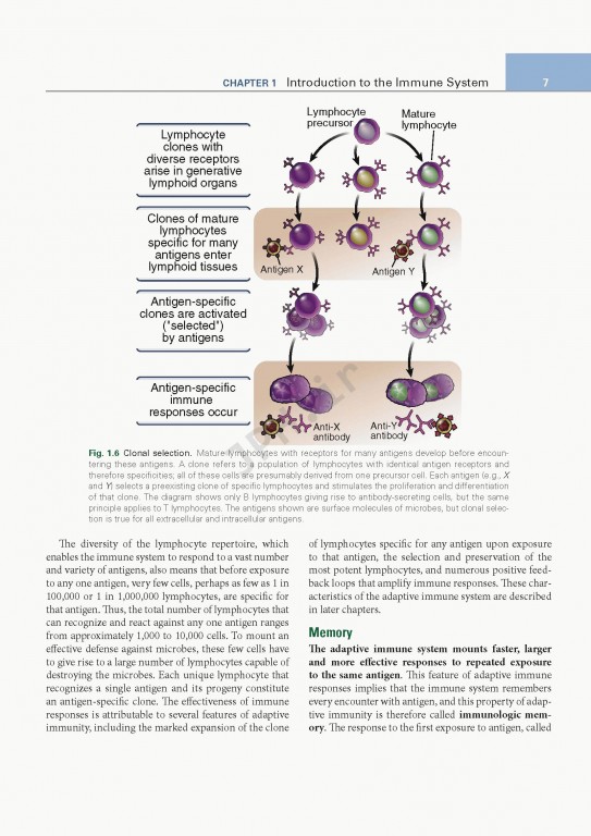 ایمونولوژی پایه ابوالعباس ویرایش ششم | 2020 Basic Immunology Functions and Disorders of the Immune System