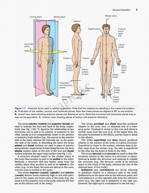 آناتومی بالینی اسنل ویراست دهم | 2019 Snell's Clinical Anatomy by Regions