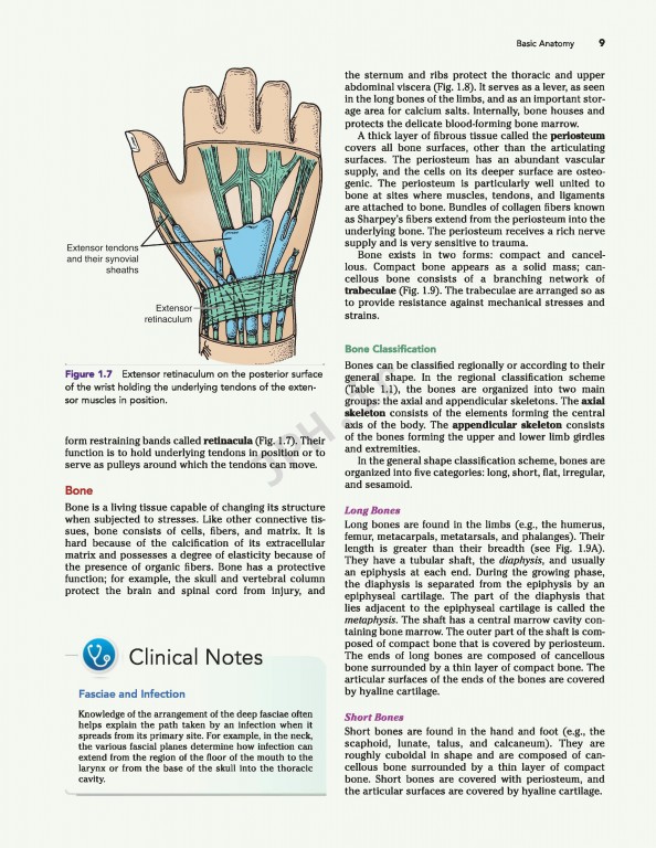 آناتومی بالینی اسنل ویراست دهم | 2019 Snell's Clinical Anatomy by Regions