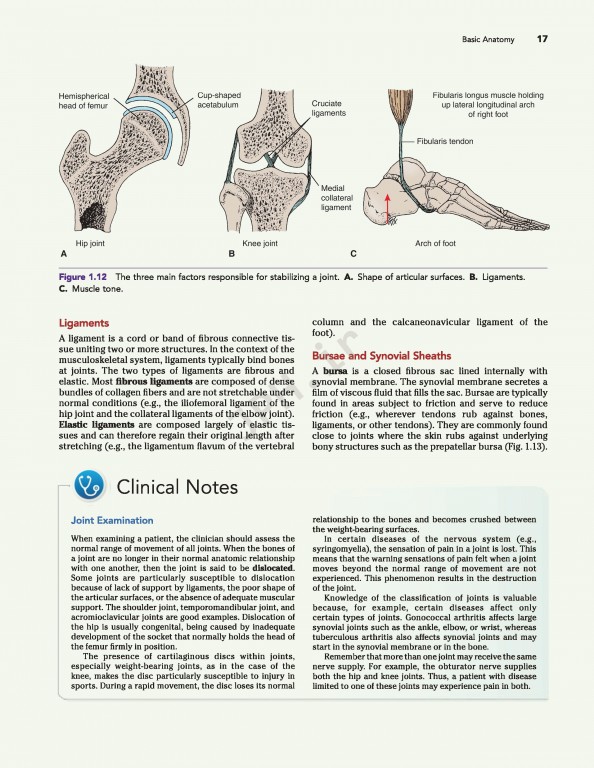 آناتومی بالینی اسنل ویراست دهم | 2019 Snell's Clinical Anatomy by Regions