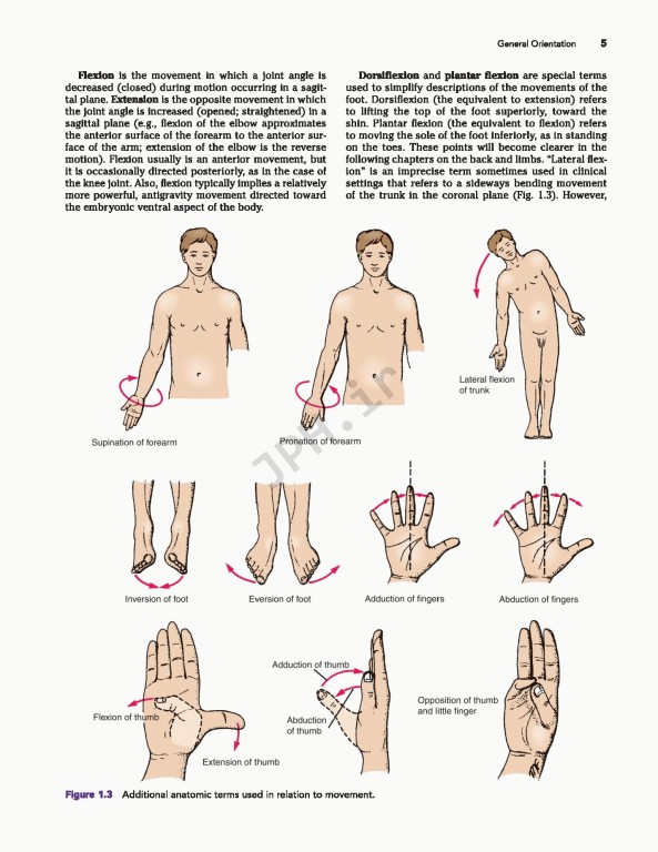آناتومی بالینی اسنل ویراست دهم | 2019 Snell's Clinical Anatomy by Regions