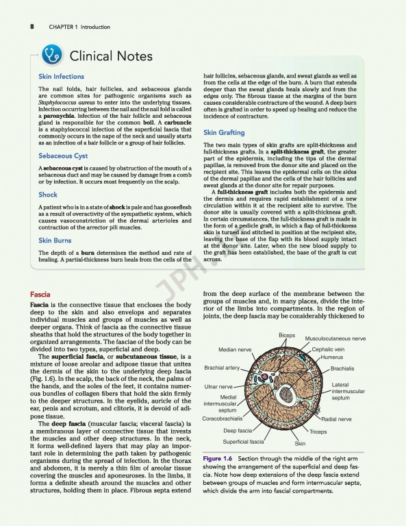 آناتومی بالینی اسنل ویراست دهم | 2019 Snell's Clinical Anatomy by Regions