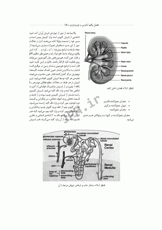 تکنولوژی جراحی اورولوژی ساداتی و گلچینی