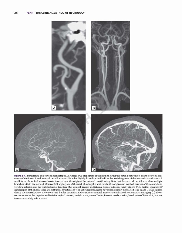 اصول مغز و اعصاب آدامز و ویکتور | Adams and Victor's Principles of Neurology 11th Edition 2019