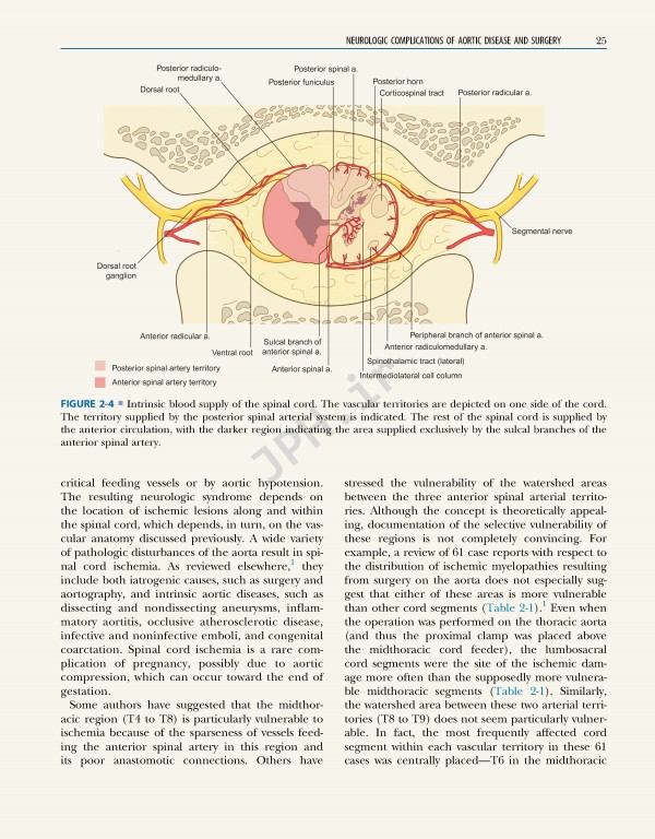 نورولوژی و پزشکی عمومی امینف 2021 | Aminoff's Neurology and General Medicine