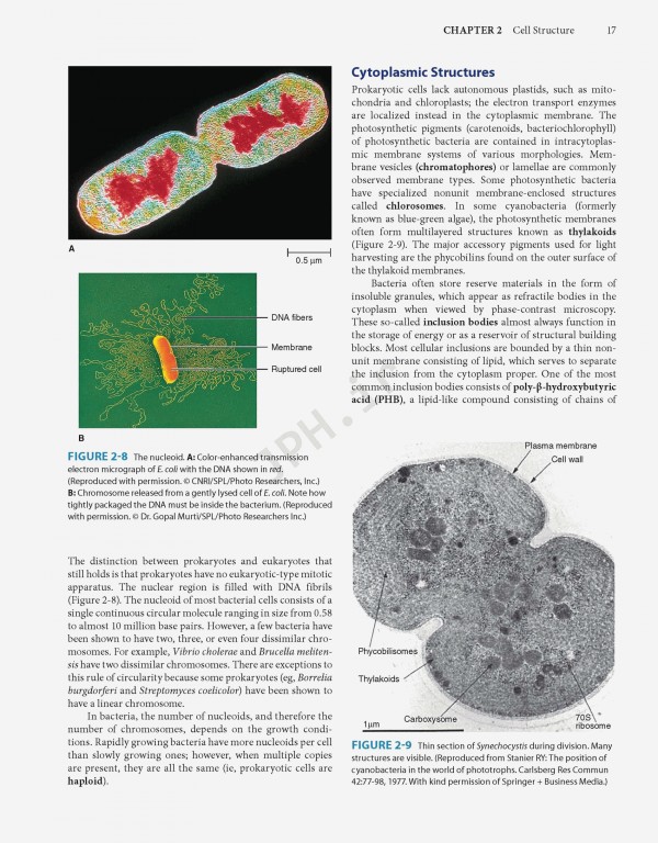 Jawetz Melnick & Adelbergs Medical Microbiology 2019 | میکروبیولوژی پزشکی جاوتز