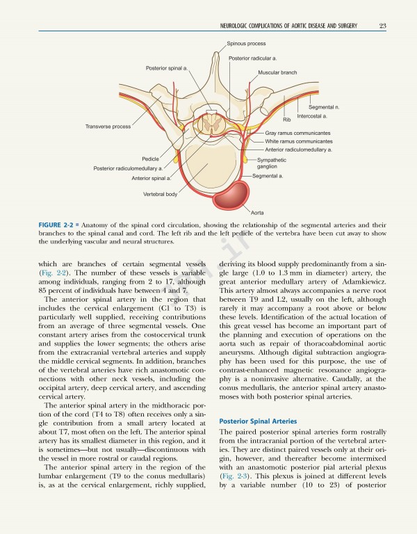 نورولوژی و پزشکی عمومی امینف 2021 | Aminoff's Neurology and General Medicine