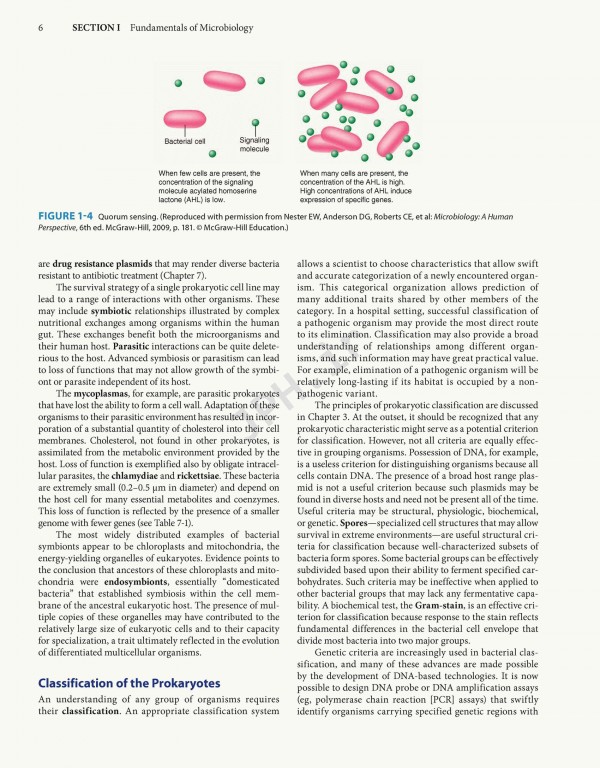 Jawetz Melnick & Adelbergs Medical Microbiology 2019 | میکروبیولوژی پزشکی جاوتز