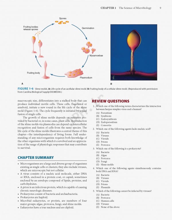 Jawetz Melnick & Adelbergs Medical Microbiology 2019 | میکروبیولوژی پزشکی جاوتز