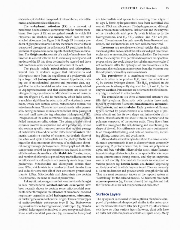 Jawetz Melnick & Adelbergs Medical Microbiology 2019 | میکروبیولوژی پزشکی جاوتز