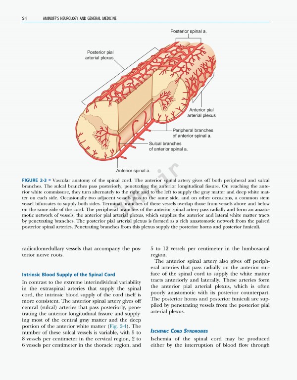 نورولوژی و پزشکی عمومی امینف 2021 | Aminoff's Neurology and General Medicine