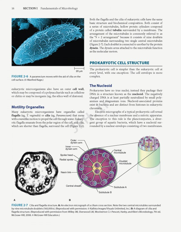 Jawetz Melnick & Adelbergs Medical Microbiology 2019 | میکروبیولوژی پزشکی جاوتز