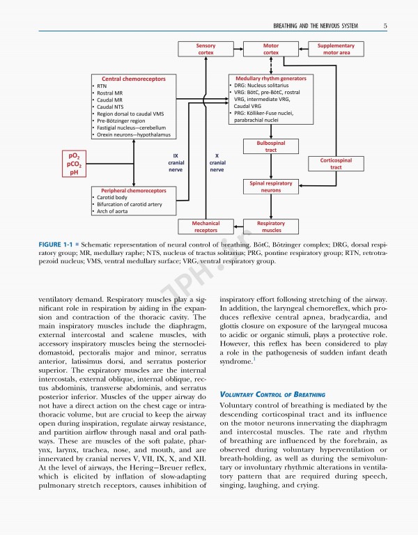 نورولوژی و پزشکی عمومی امینف 2021 | Aminoff's Neurology and General Medicine
