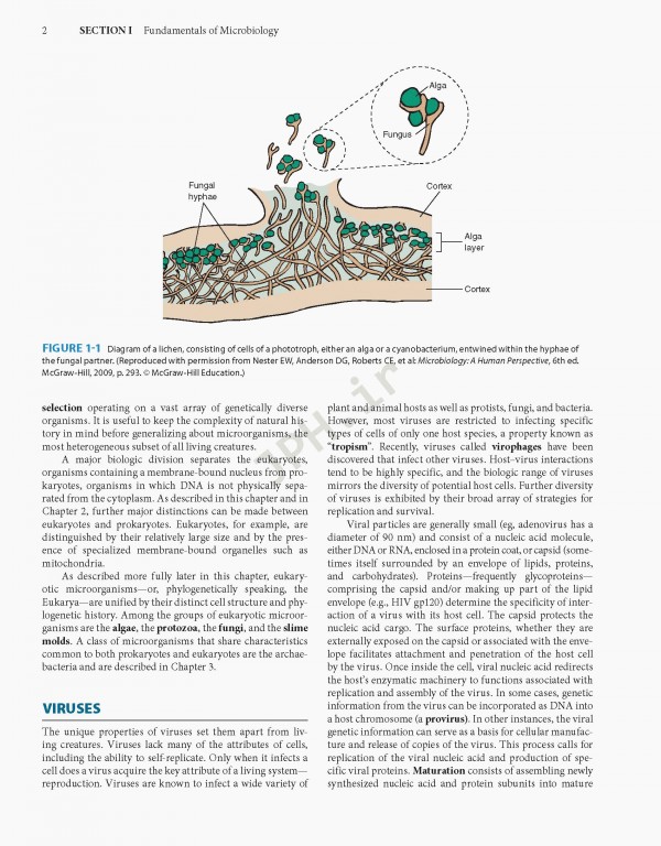 Jawetz Melnick & Adelbergs Medical Microbiology 2019 | میکروبیولوژی پزشکی جاوتز
