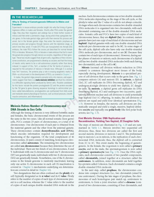 جنین شناسی انسانی لارسن ویرایش ششم 2021 | Larsen's Human Embryology