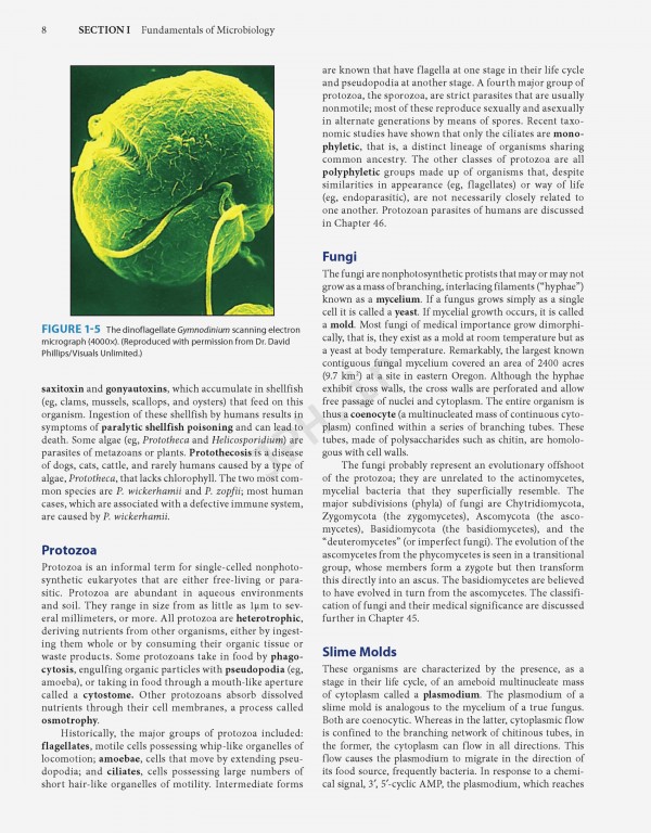 Jawetz Melnick & Adelbergs Medical Microbiology 2019 | میکروبیولوژی پزشکی جاوتز