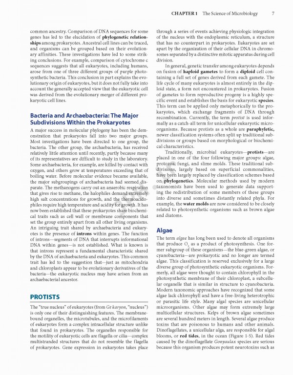 Jawetz Melnick & Adelbergs Medical Microbiology 2019 | میکروبیولوژی پزشکی جاوتز