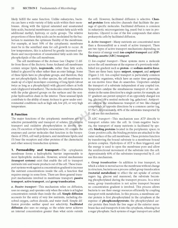 Jawetz Melnick & Adelbergs Medical Microbiology 2019 | میکروبیولوژی پزشکی جاوتز