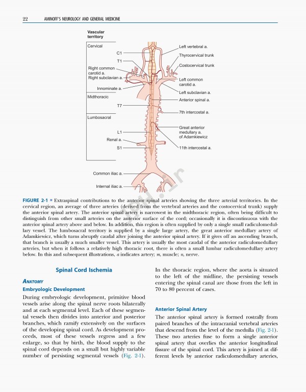 نورولوژی و پزشکی عمومی امینف 2021 | Aminoff's Neurology and General Medicine