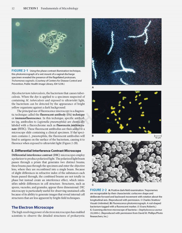 Jawetz Melnick & Adelbergs Medical Microbiology 2019 | میکروبیولوژی پزشکی جاوتز