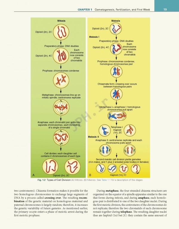 جنین شناسی انسانی لارسن ویرایش ششم 2021 | Larsen's Human Embryology