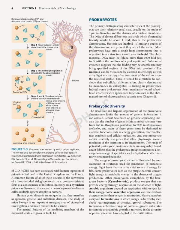 Jawetz Melnick & Adelbergs Medical Microbiology 2019 | میکروبیولوژی پزشکی جاوتز