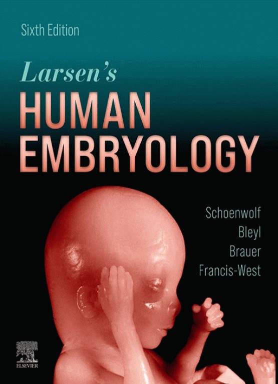 جنین شناسی انسانی لارسن ویرایش ششم 2021 | Larsen's Human Embryology