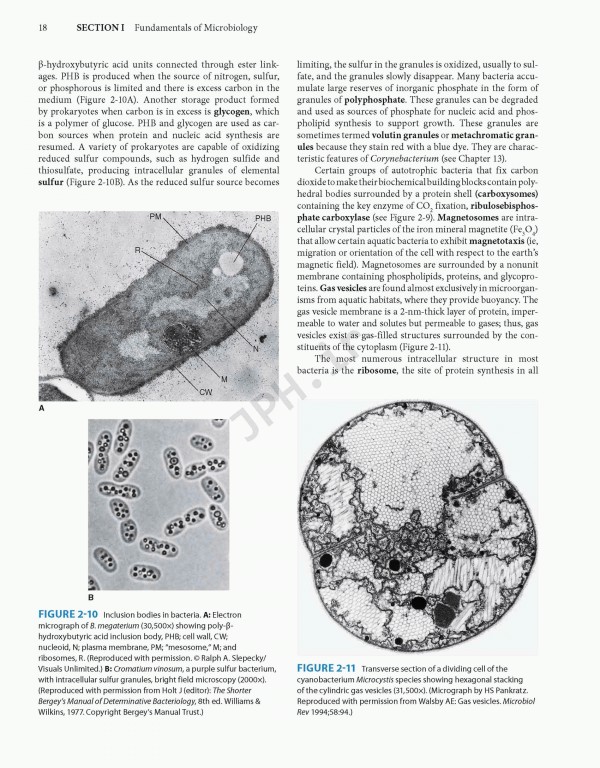 Jawetz Melnick & Adelbergs Medical Microbiology 2019 | میکروبیولوژی پزشکی جاوتز