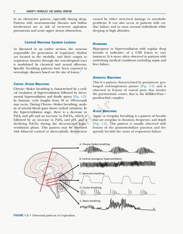 نورولوژی و پزشکی عمومی امینف 2021 | Aminoff's Neurology and General Medicine