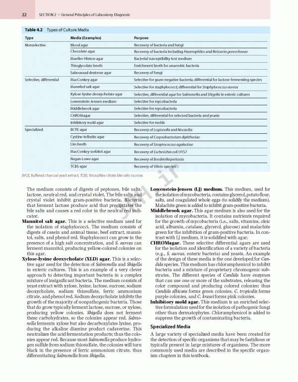 میکروب‌شناسی مورای ویرایش نهم | Medical Microbiology By Patrick R. Murray 2021
