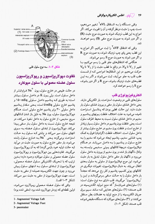 اطلس الکتروکاردیوگرافی قارونی ویراست نهم