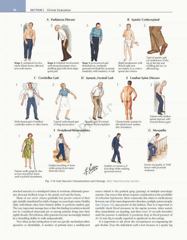 عصب‌شناسی علوم بالینی نتر | Netter's Neurology Netter Clinical Science 3rd Edition 2019