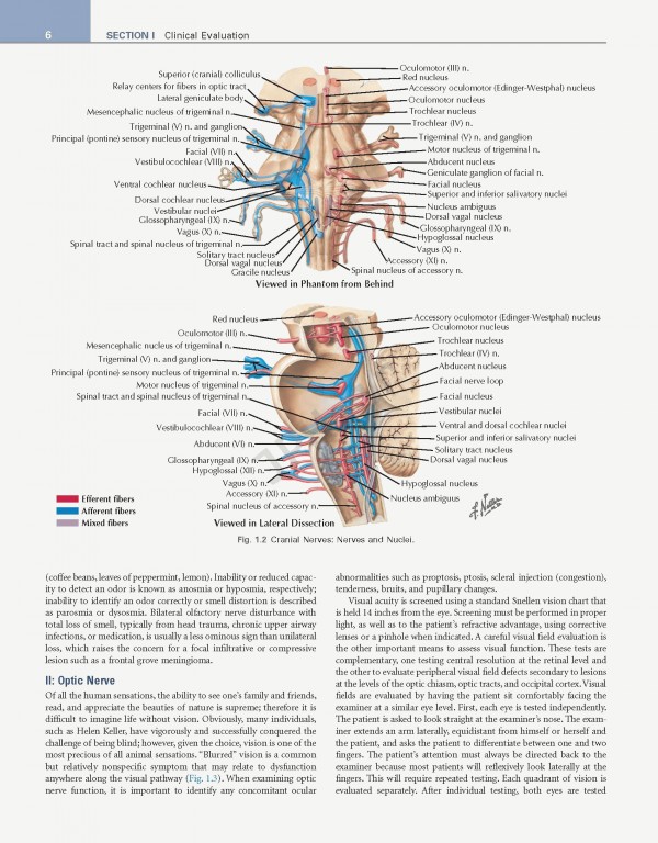عصب‌شناسی علوم بالینی نتر | Netter's Neurology Netter Clinical Science 3rd Edition 2019