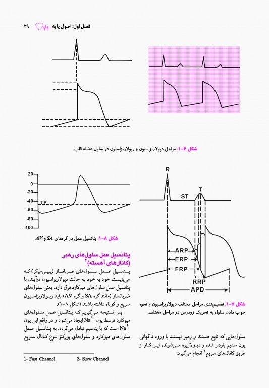 اطلس الکتروکاردیوگرافی قارونی ویراست نهم