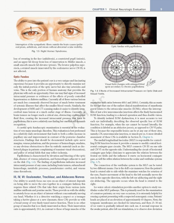 عصب‌شناسی علوم بالینی نتر | Netter's Neurology Netter Clinical Science 3rd Edition 2019